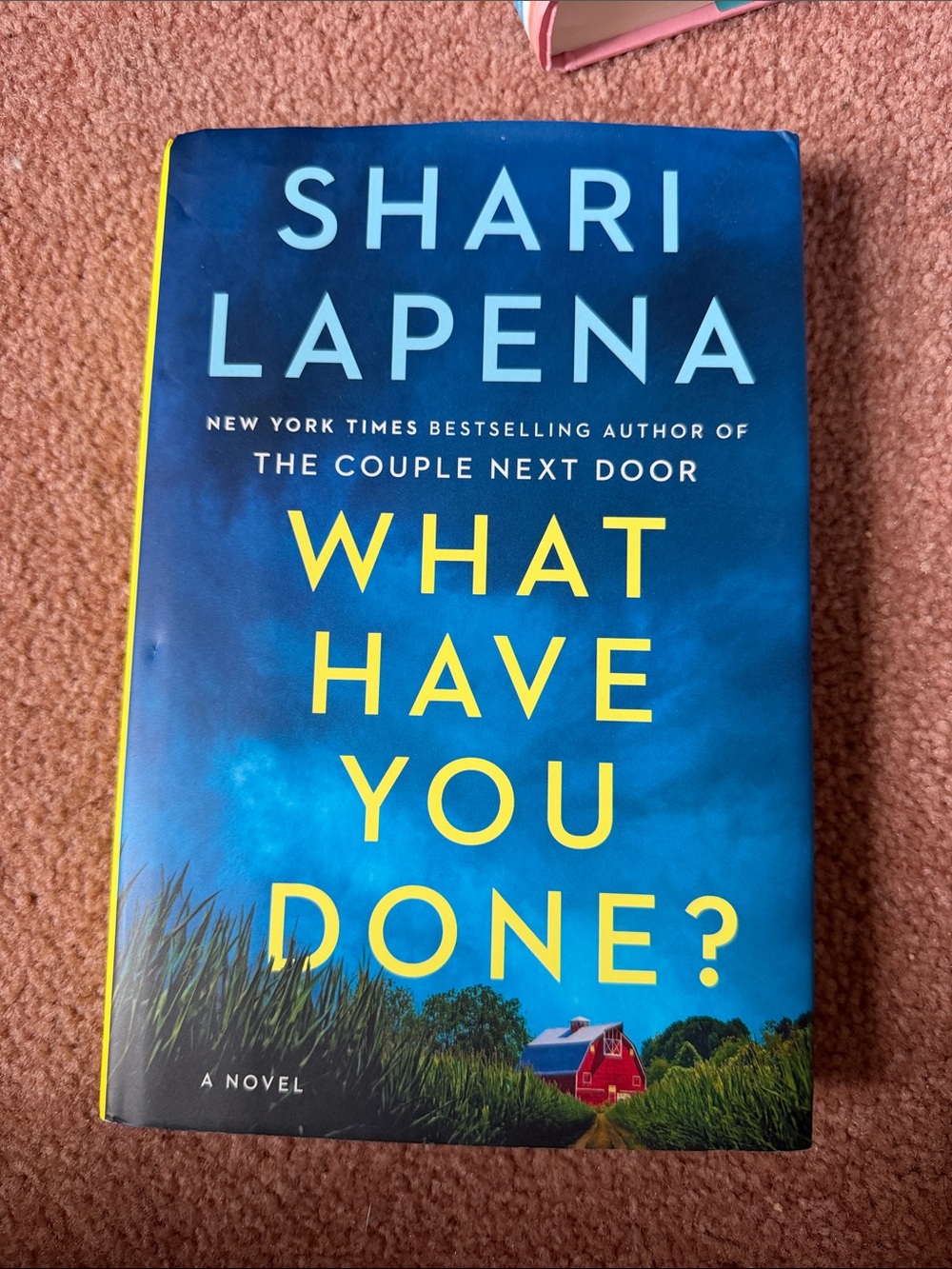 Shari Lapena "What Have You Done?" Hardcover Novel - Blue & Yellow Cover